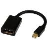 STARTECH 6in Mini DP to DP Cable