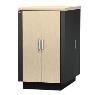 APC - SCHNEIDER NetShelter CX 24U Server Room in a Box E