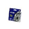 EPSON T0341 INK CARTRIDGE PHOTO BLACK
