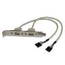 STARTECH 2 Port USB A Slot Plate Adapter