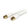 STARTECH 1m 3 ft White Mini DisplayPort Cable M/M