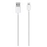 BELKIN SYNC/CHARGE CBL 2.1A LTG 2M WHT