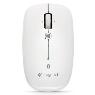 LOGITECH M557 Bluetooth Mouse - White